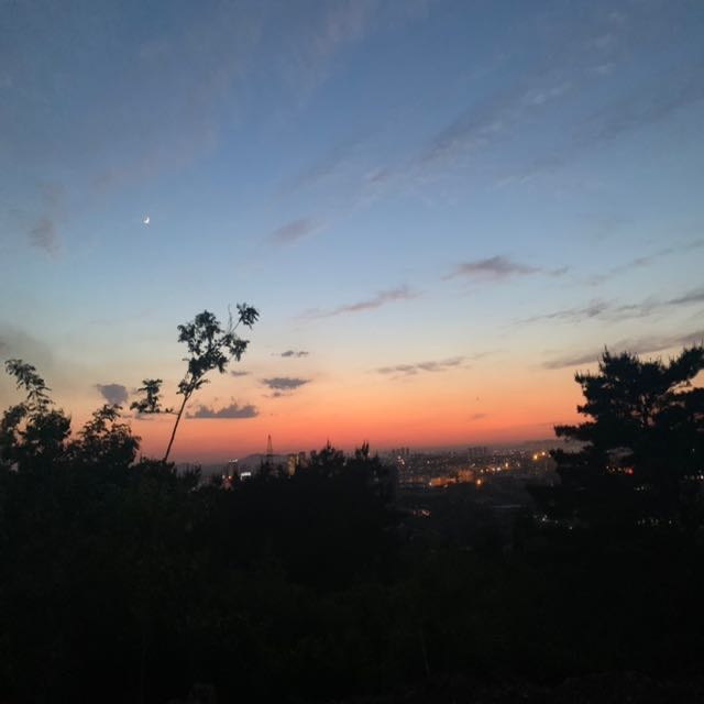 塔罗牌情感问答