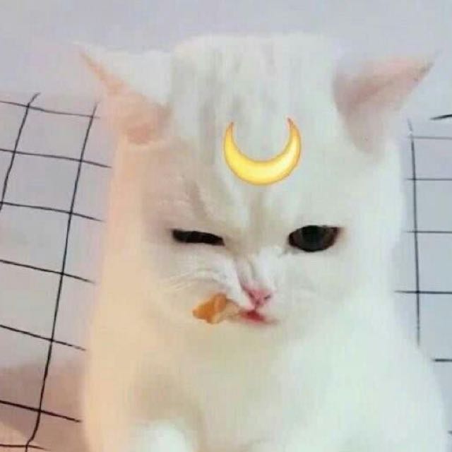 塔罗牌情感问答